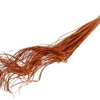 QC Dried Palm Leaf Vein | Curly Ting Ting | Colour: Orange | Length ± 70 centimetres | 100 stems per bunch | Per bunch