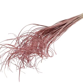 QC Dried Palm Leaf Vein | Curly Ting Ting | Colour: Frosted Light Pink | Length ± 70 centimetres | 100 stems per bunch | Per bunch