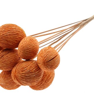 QC Bleached Mintolla Seed Box on Stick | Colour: Orange | Pong Pong Mintolla Insert Dry Decoration | Length ± 50 centimetres | 10 inserts per bunch
