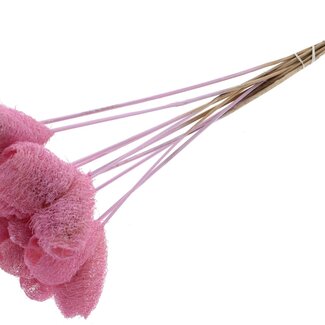 QC Luffa Heart Sponge on stick | Colour: Light Pink | Loofah Stick | Length ± 50 centimetres | 10 sticks per bunch