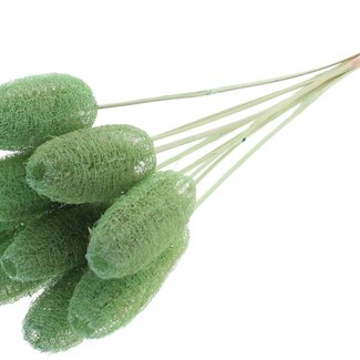 QC Mini Loofah Sponge on Stick | Colour: Mint Green | Loofah Stick | Length ± 50 centimetres | 10 sticks per bunch