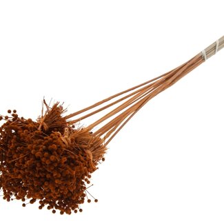 QC Mini Button Flowers Bouquet on Stick | Colour: Terracotta | Mini Button Insert | Length ± 50 centimetres | 10 inserts per bunch