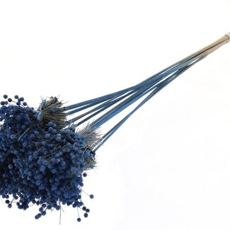 QC Mini Button Flower Bouquet on Stick | Colour: Blue | Mini Button Stick-in | Length ± 50 centimetres | 10 stick-ins per bunch