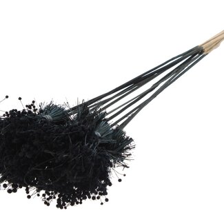 QC Mini Button Flowers Bouquet on Stick | Colour: Black | Mini Button Insert Stick | Length ± 50 centimetres | 10 insert sticks per bunch