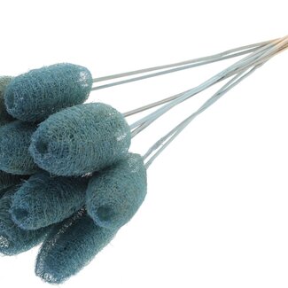 QC Mini Loofah Sponge on stick | Colour: Light Blue | Loofah Plant Stake | Length ± 50 centimetres | 10 stakes per bunch