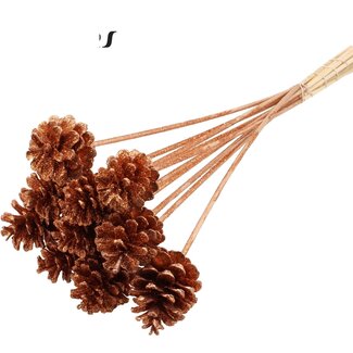 QC Pine cone on stick | Colour: Copper with Glitter | Diameter 5 - 7 centimetres | Length ± 50 centimetres | 10 picks per bunch