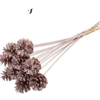 QC Pinecone on a Stick | Colour: Champagne with Glitter | Diameter 5 - 7 centimetres | Length ± 50 centimetres | 10 picks per bunch