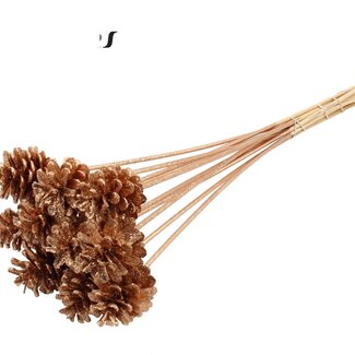 QC Pinecone on a stick | Colour: Antique Gold with Glitter | Diameter 5 - 7 centimetres | Length ± 50 centimetres | 10 picks per bunch