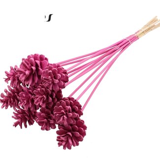QC Pine cone on stick | Colour: Cherry-coloured | Diameter 5 - 7 centimetres | Length ± 50 centimetres | 10 picks per bunch
