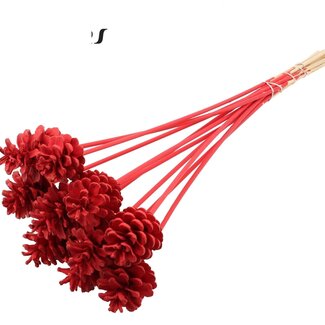 QC Pine cone on stick | Colour: Red | Diameter 5 - 7 centimetres | Length ± 50 centimetres | 10 picks per bunch
