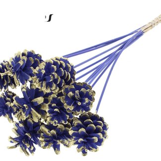QC Pine cone on stick | Colour: Milka purple and Gold-tipped | Diameter 5 - 7 centimetres | Length ± 50 centimetres | 10 inserts per bunch