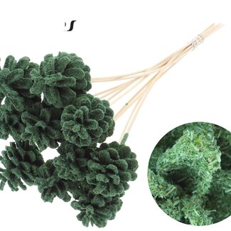 QC Pine cone on stick | Colour: Sawdust Green | Diameter 5 - 7 centimetres | Length ± 50 centimetres | 10 picks per bunch