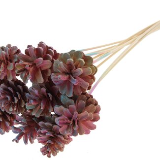 QC Pine cone on stick | Colour: Gradient Pink | Diameter 5 - 7 centimetres | Length ± 50 centimetres | 10 picks per bunch
