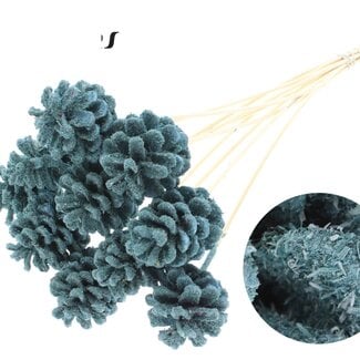 QC Pine cone on stick | Colour: Sawdust Light Blue | Diameter 5 - 7 centimetres | Length ± 50 centimetres | 10 picks per bunch