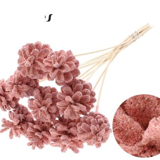 QC Pine cone on stick | Colour: Sawdust Light Pink | Diameter 5 - 7 centimetres | Length ± 50 centimetres | 10 picks per bunch