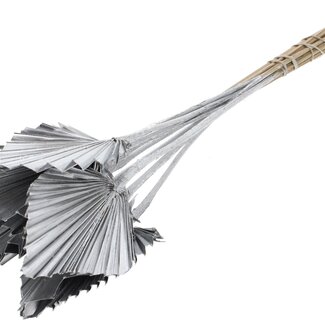 QC Dried Palm Spear | Colour: Silver | Palm Leaves in Spear Shape | Length ± 50 centimetres | 10 stems per bunch | Per bunch