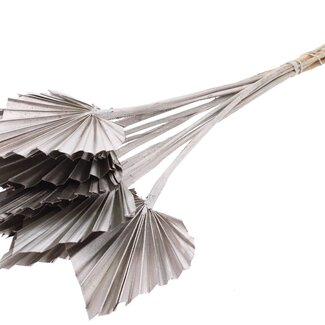 QC Dried Palm Spear | Colour: Champagne | Spear-Shaped Palm Leaves | Length ± 50 centimetres | 10 stems per bunch | Per bunch