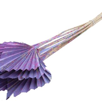 QC Dried Palm Spear | Colour: Multicoloured Milkapurple | Palm Leaves in Spear Shape | Length ± 50 centimetres | 10 stems per bunch | Per bunch