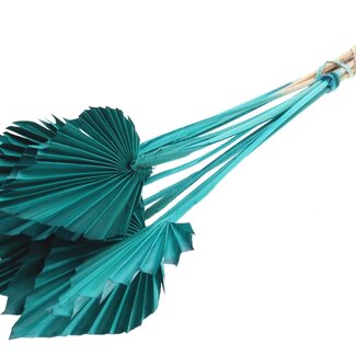 QC Dried Palm Spear | Colour: Turquoise | Spear-shaped Palm Leaves | Length ± 50 centimetres | 10 stems per bunch | Per bunch