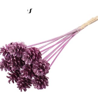 QC Pine cone on stick | Colour: Metallic Pink with Glitter | Diameter 5 - 7 centimetres | Length ± 50 centimetres | 10 picks per bunch