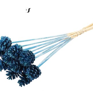 QC Pine cone on stick | Colour: Metallic Blue with Glitter | Diameter 5 - 7 centimetres | Length ± 50 centimetres | 10 picks per bunch