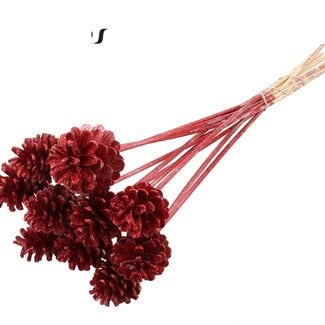QC Pinecone on a stick | Colour: Metallic Wine Red with Glitter | Diameter 5 - 7 centimetres | Length ± 50 centimetres | 10 picks per bunch