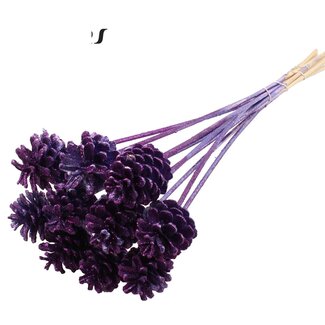 QC Pine cone on stick | Colour: Metallic Purple with Glitter | Diameter 5 - 7 centimetres | Length 60 centimetres | 10 picks per bunch