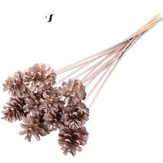 QC Pine cone on stick | Colour: Champagne-coloured | Diameter 5 - 7 centimetres | Length ± 50 centimetres | 10 picks per bunch