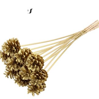 QC Pine cone on stick | Colour: Gold-coloured | Diameter 5 - 7 centimetres | Length ± 50 centimetres | 10 picks per bunch