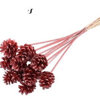 QC Pine cone on stick | Colour: Metallic Red | Diameter 5 - 7 centimetres | Length ± 50 centimetres | 10 picks per bunch