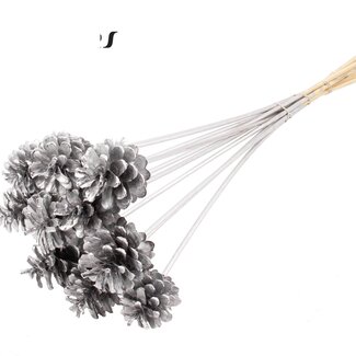 QC Pine cone on stick | Colour: Silver-coloured | Diameter 5 - 7 centimetres | Length ± 50 centimetres | 10 picks per bunch