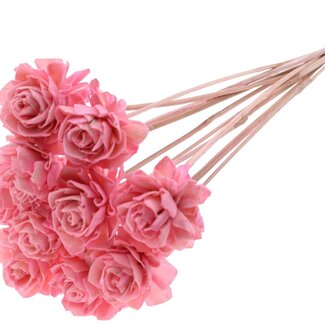 QC Shola Dahlia on stem | Colour: Light pink | Shola Dhalya | Diameter 6 centimeter | Length ± 50 centimeter | 10 picks per bunch | Per bunch