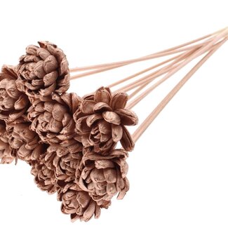 QC Shola rose on stem | Colour: Copper-coloured | Shola New Beauty Rose | Diameter 6 centimeter | Length ± 50 centimeter | 10 picks per bunch | Per bunch