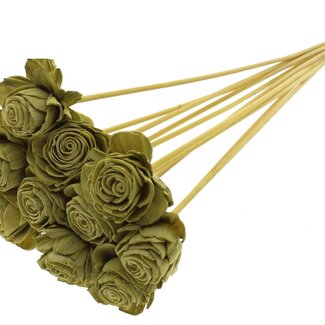 QC Shola Rose on stem | Colour: Olive green | Shola Beauty Rose | Diameter 6 centimeter | Length ± 50 centimeter | 10 picks per bunch | Per bunch