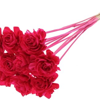 QC Shola rose on stem | Colour: Cherry-coloured | Shola Beauty Rose | Diameter 6 centimetre | Length ± 50 centimetre | 10 picks per bunch | Per bunch