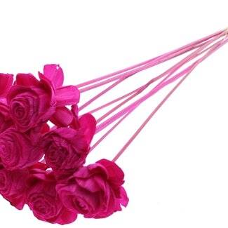 QC Shola rose on stem | Colour: Lilac-coloured | Shola Beauty Rose | Diameter 6 centimeter | Length ± 50 centimeter | 10 extra picks per bunch | Per bunch