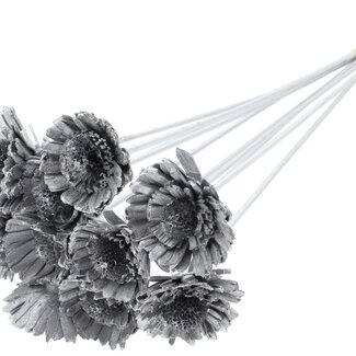 QC Shola Daisy Sunflower on stem | Colour: Silver-coloured | Shola Daisy Sunflower | Diameter 6 centimetre | Length ± 50 centimetre | 10 decorative picks per bunch | Per bunch