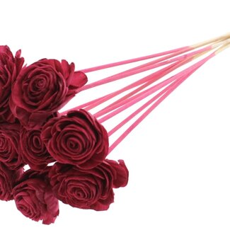 QC Shola rose on stem | Colour: Bordeaux red | Shola Beauty Rose | Diameter 6 centimetre | Length ± 50 centimetre | 10 extra picks per bunch | Per bunch