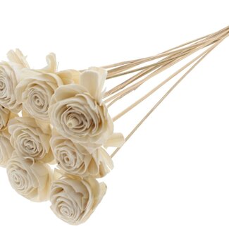 QC Shola Rose on stem | Colour: Natural White | Shola Beauty Rose | Diameter 6 centimeter | Length ± 50 centimeter | 10 picks per bunch | Per bunch
