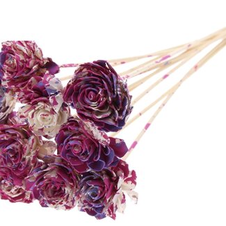 QC Shola Dahlia on stem | Colour: Multicoloured Cherry-coloured Milky purple | Shola Dhalya | Diameter 6 centimeter | Length ± 50 centimeter | 10 picks per bunch | Per bunch