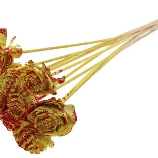 QC Shola Rose on Stem | Colour: Speckled Yellow Red | Shola Beauty Rose | Diameter 6 centimeter | Length ± 50 centimeter | 10 picks per bunch | Per bunch
