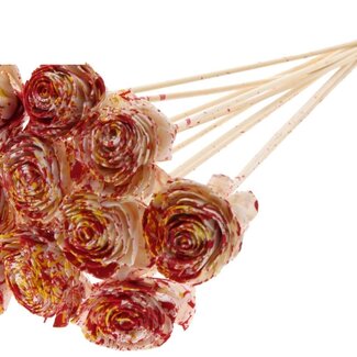 QC Shola Rose on stem | Colour: Multicoloured Red Yellow | Shola Beauty Rose | Diameter 6 centimetre | Length ± 50 centimetre | 10 floral picks per bunch | Per bunch