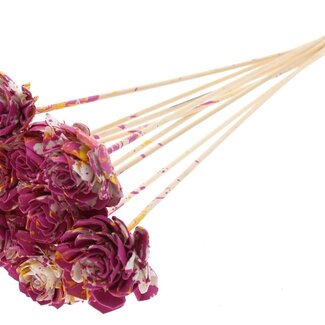 QC Shola Dahlia on stem | Colour: Multicoloured Cherry-coloured Yellow | Shola Dhalya | Diameter 6 centimetre | Length ± 50 centimetre | 10 picks per bunch | Per bunch
