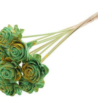 QC Shola Rose on stem | Colour: Speckled Mint Green Yellow | Shola Beauty Rose | Diameter 6 centimetre | Length ± 50 centimetre | 10 picks per bunch | Per bunch