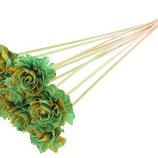 QC Shola Dahlia on stem | Colour: Speckled Mint green Yellow | Shola Dhalya | Diameter 6 centimetre | Length ± 50 centimetre | 10 auxiliary stems per bunch | Per bunch