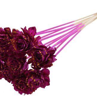 QC Shola Dahlia on stem | Colour: Speckled Lilac-coloured Yellow | Shola Dhalya | Diameter 6 centimeter | Length ± 50 centimeter | 10 picks per bunch | Per bunch