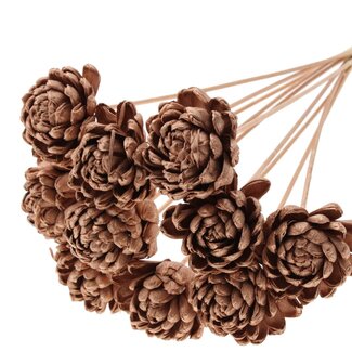 QC Shola Rose on stem | Colour: Copper-coloured | Shola New Beauty Rose | Diameter 8 centimetre | Length ± 50 centimetre | 10 side picks per bunch | Per bunch