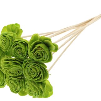 QC Shola Rose with wax on stem | Colour: Light green | Shola Beauty Rose | Diameter 6 centimetre | Length ± 50 centimetre | 10 picks per bunch | Per bunch