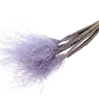 QC Dried Stipa Feather Grass | Colour: Pastel Lilac Purple | Stypha Penata Dried Flowers | Length ± 60 centimetres | 10 plumes per bunch | Per bunch