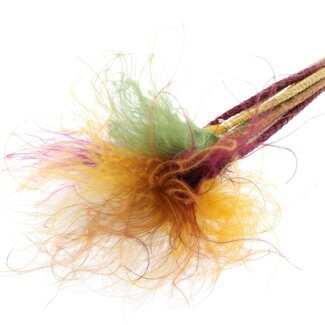 QC Dried Stipa Feather Grass “Pumpkin Spice Mix” | Colour: Mixed Colours | Stypha Penata Dried Flowers | Length ± 60 centimetres | 10 plumes per bunch | Per bunch